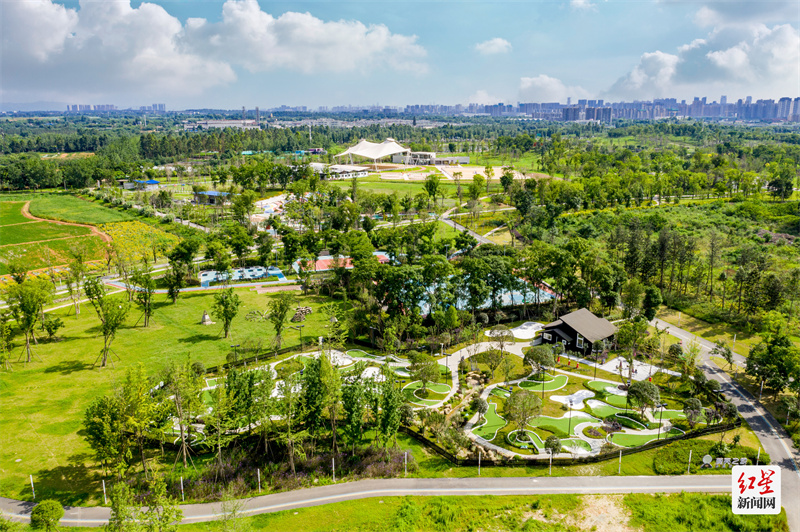 翡翠项链要多少钱一条,惊艳的翡翠项链