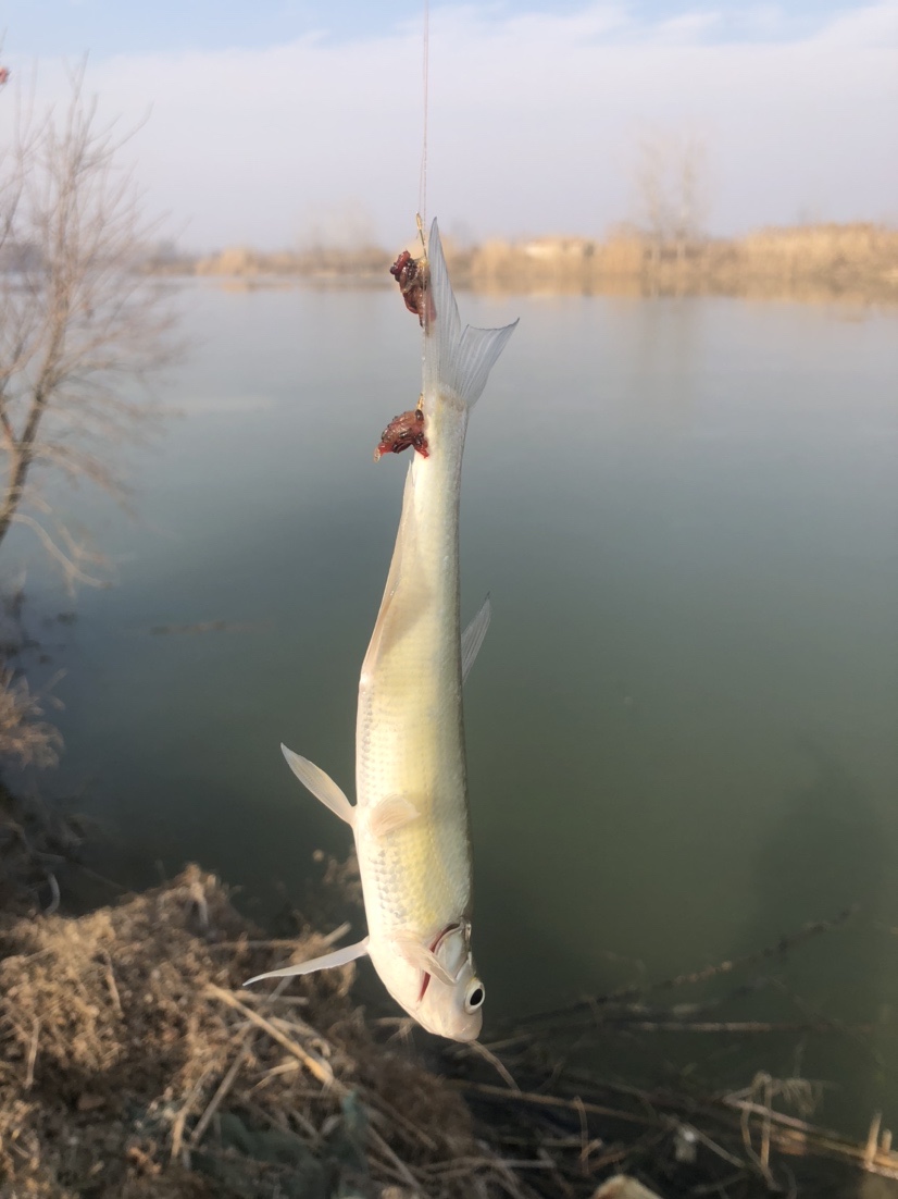 冰钓沉浸式体验,第一次体验冰钓视频