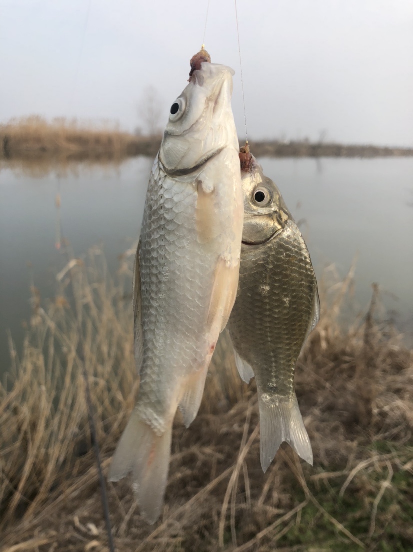 冰钓沉浸式体验,第一次体验冰钓视频