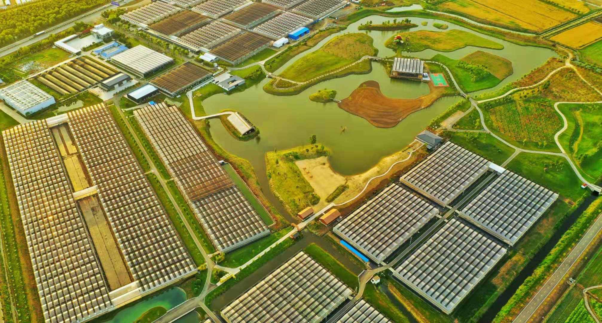 宿迁市对电商创业的支持,宿迁创新发展规划