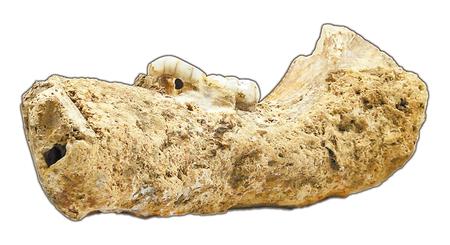 探索发现考古纪录片甘肃,甘肃考古取得重大成果