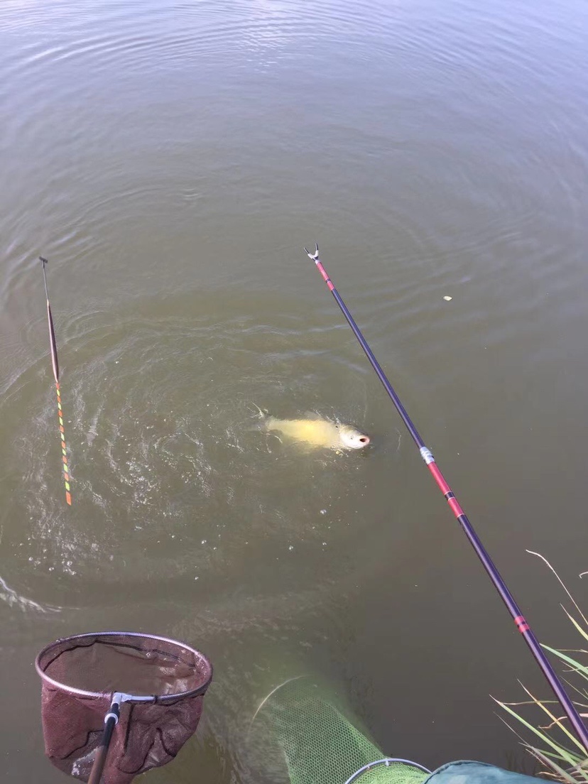 2021打龟爆护同在，未来渔你同行