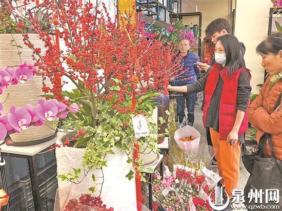 花卉市场迎来销售旺季年宵花走俏迎新春