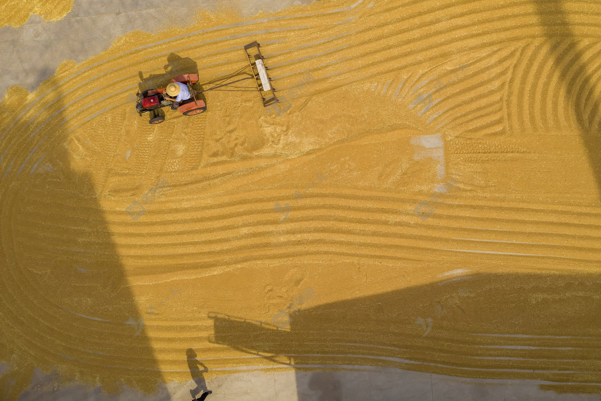 滨州滨城区摄影师,滨州摄影师事迹介绍