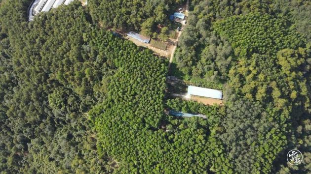 90后大学生张海彪：回乡创业当农民闯出一片新天地