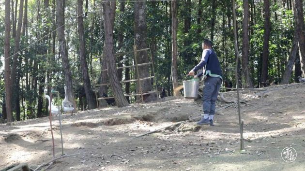 90后大学生张海彪：回乡创业当农民闯出一片新天地