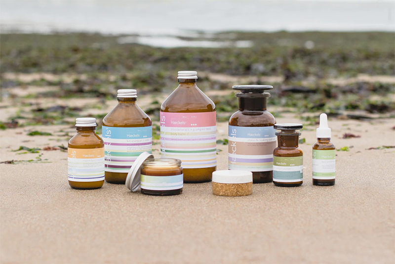 雅诗兰黛转型,雅诗兰黛旗下的护肤品牌