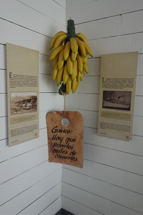 范晔读音,范晔古典吉他