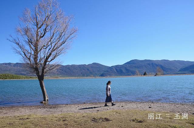 云南旅游全攻略自由行大理洱海,云南旅游攻略三日游洱海