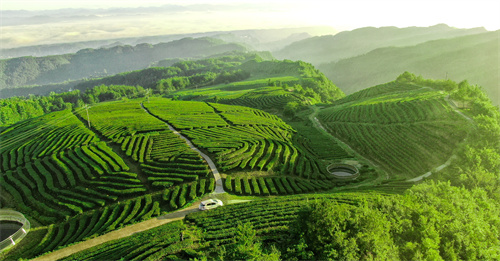 专访全国人大代表、巴中市委书记何平：靠“山”脱贫的革命老区，下一步将如何*局破**？