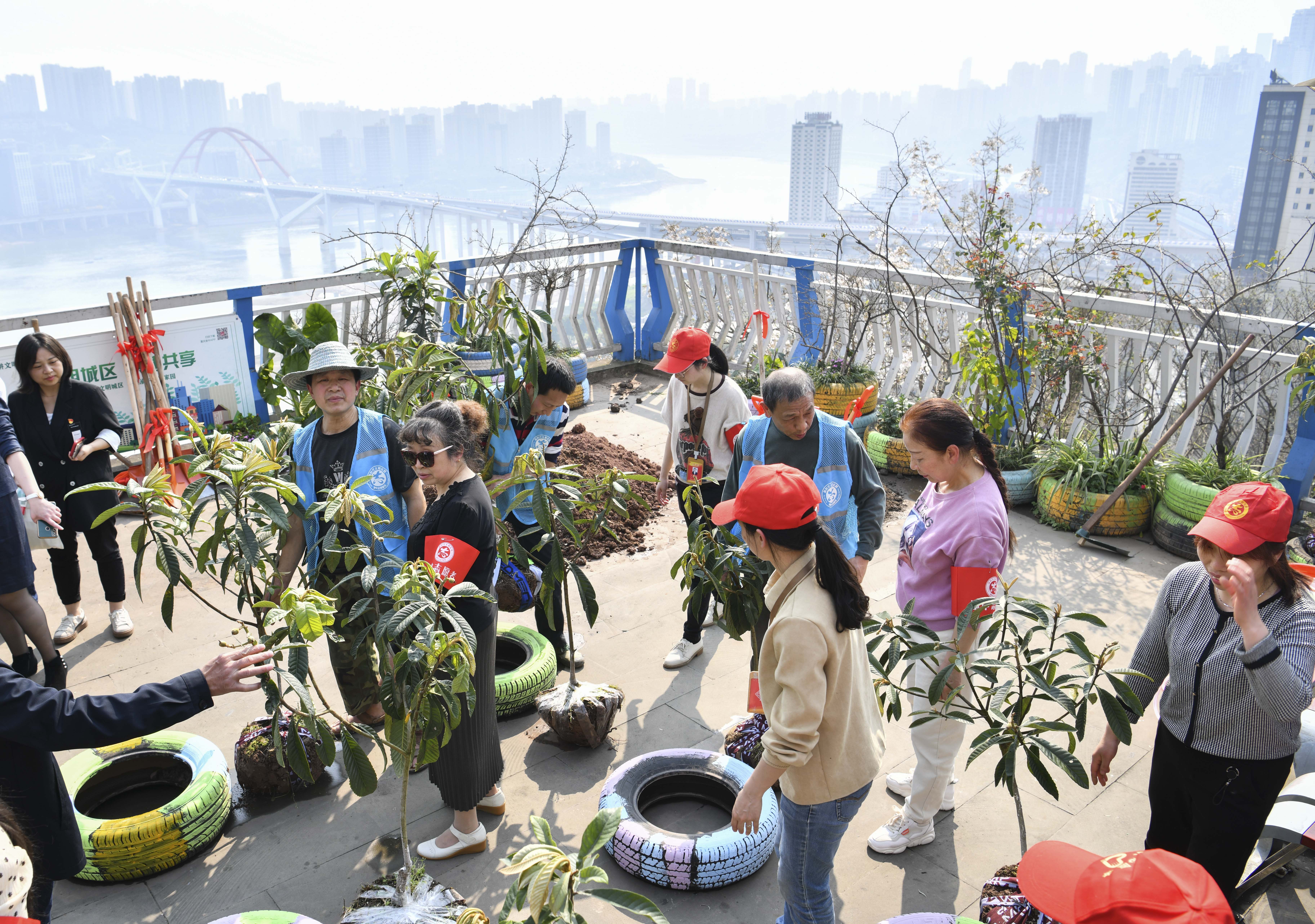 携手扶新绿文明正当时重庆广泛开展新时代文明实践植树活动
