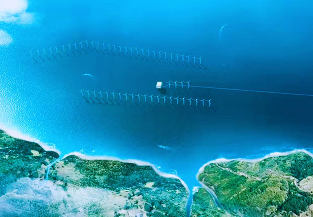 山东能源集团新能源项目,山东能源集团最新新闻