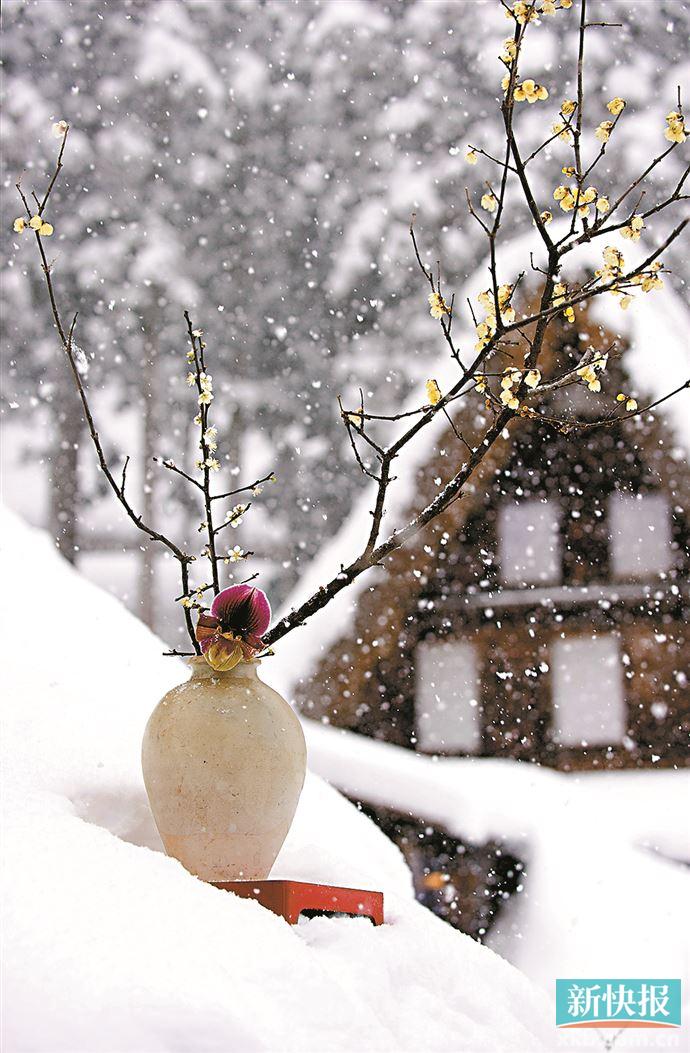 千年花器与鲜活花枝的交相辉映