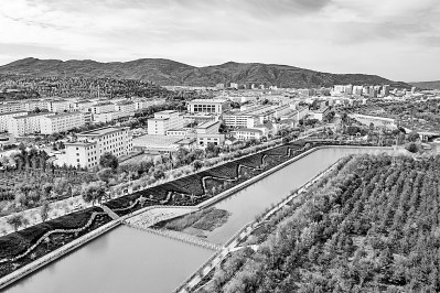 一段鲜为人知的创业奋斗史,一部经济发展史