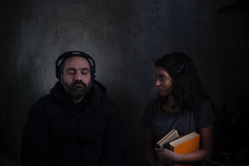 我的天才女友埃莱娜费兰特,费兰特女友