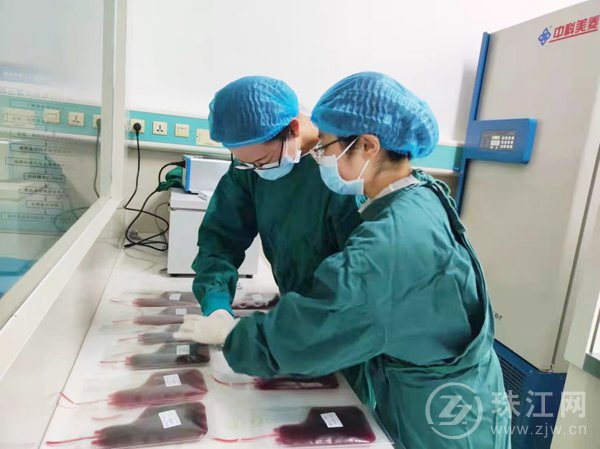 恶性淋巴瘤自体干细胞移植,滤泡性淋巴瘤自体干细胞移植