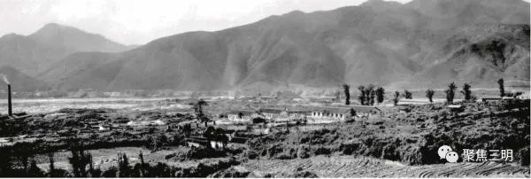 沪明情深！背后的故事不曾忘记