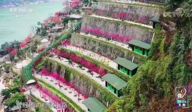 中国人独有的浪漫纪录片,中国人特有的浪漫纪录片