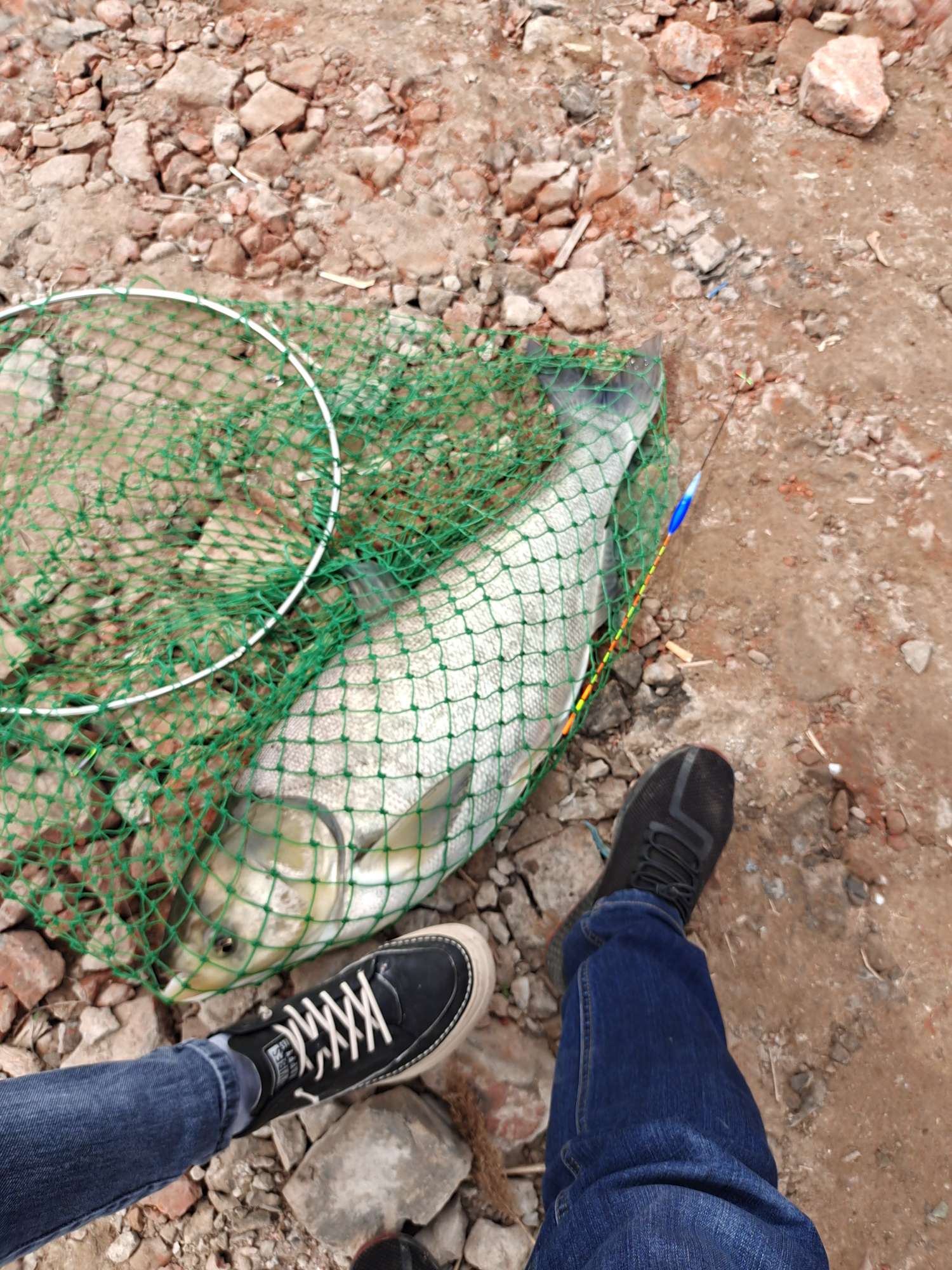 「四月渔获」27斤巨物！刷新个人单尾记录