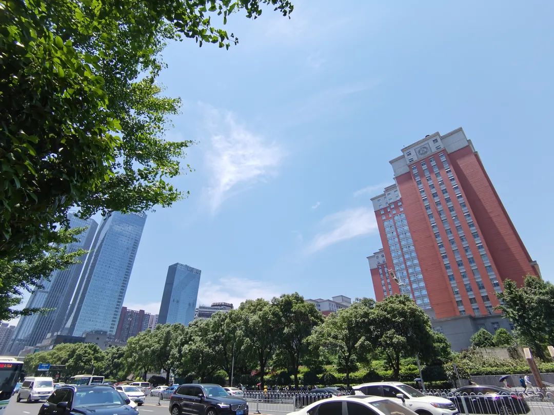 2023年大城新楼盘,大城最新楼盘