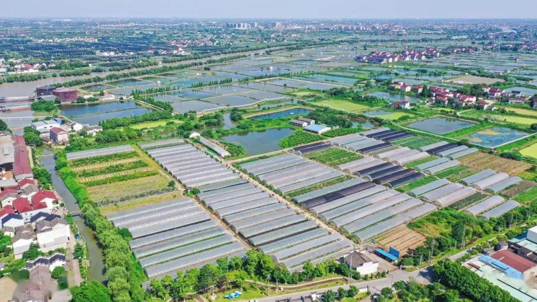 乐居、乐业、乐游、乐活！千套乡墅焕发乡村振兴新活力