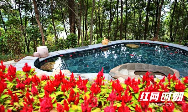 张家界春节旅游推荐路线,张家界春节旅游推荐路线图片