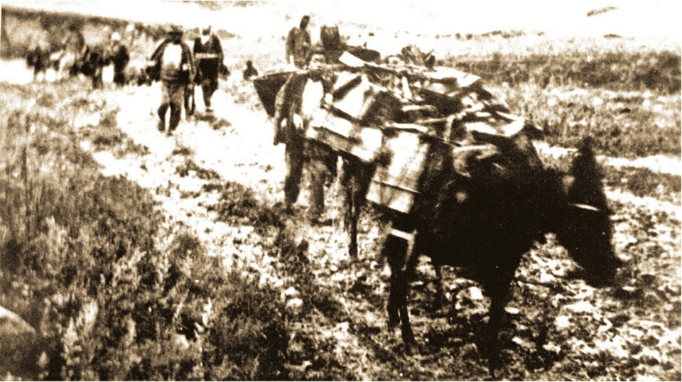 「赓续红色血脉践行初心使命——不断推进新时代机关*党**建高质量发展」太行精神彪炳千秋红色基因世代相传