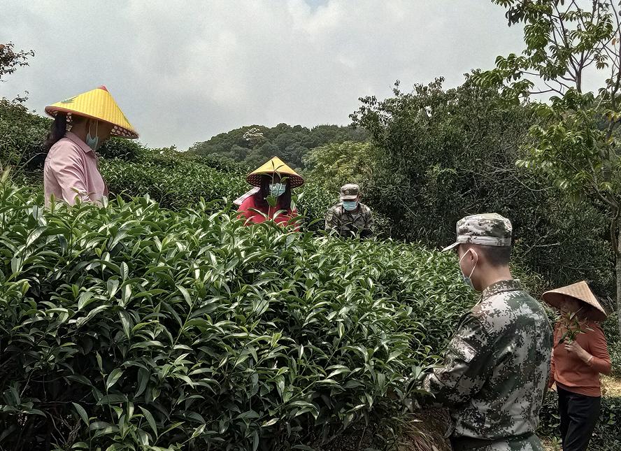 致敬战友们的图片,致敬战友的古诗句