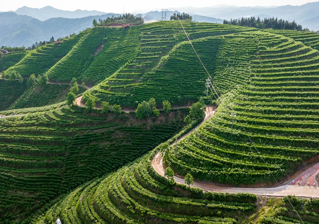 市劳动模范曾广标：用匠心成就梦想用实干诠释担当