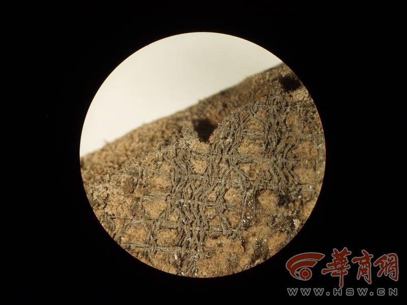 陕西文物探探第14集,陕西文物探探28期