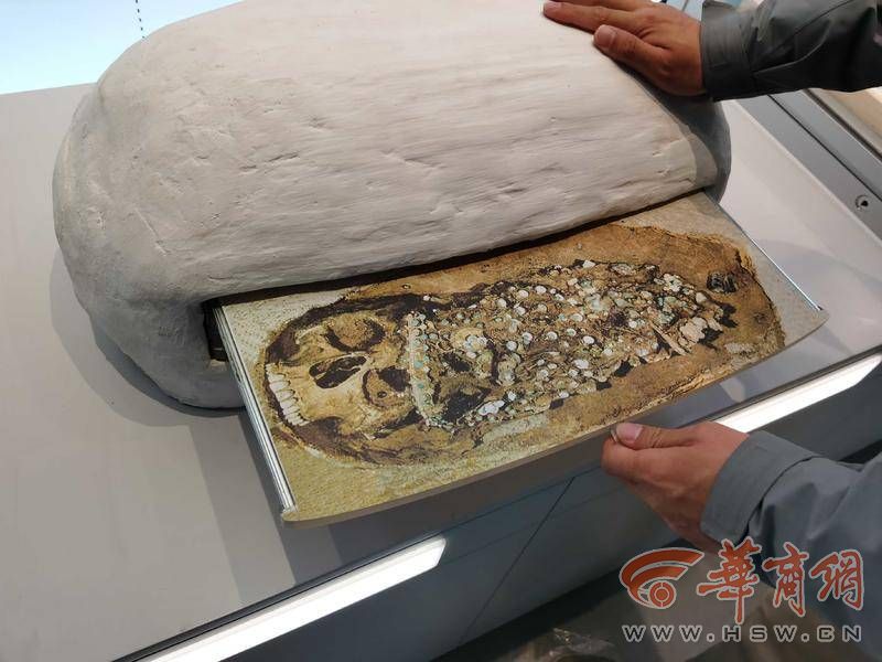 陕西文物探探第14集,陕西文物探探28期