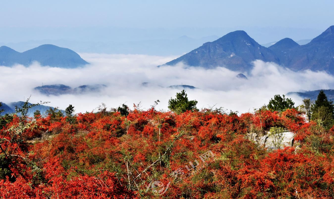 秀山周末旅游攻略图片大全,秀山旅游一日游