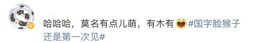 国字脸短发,国字脸女生适合的短发