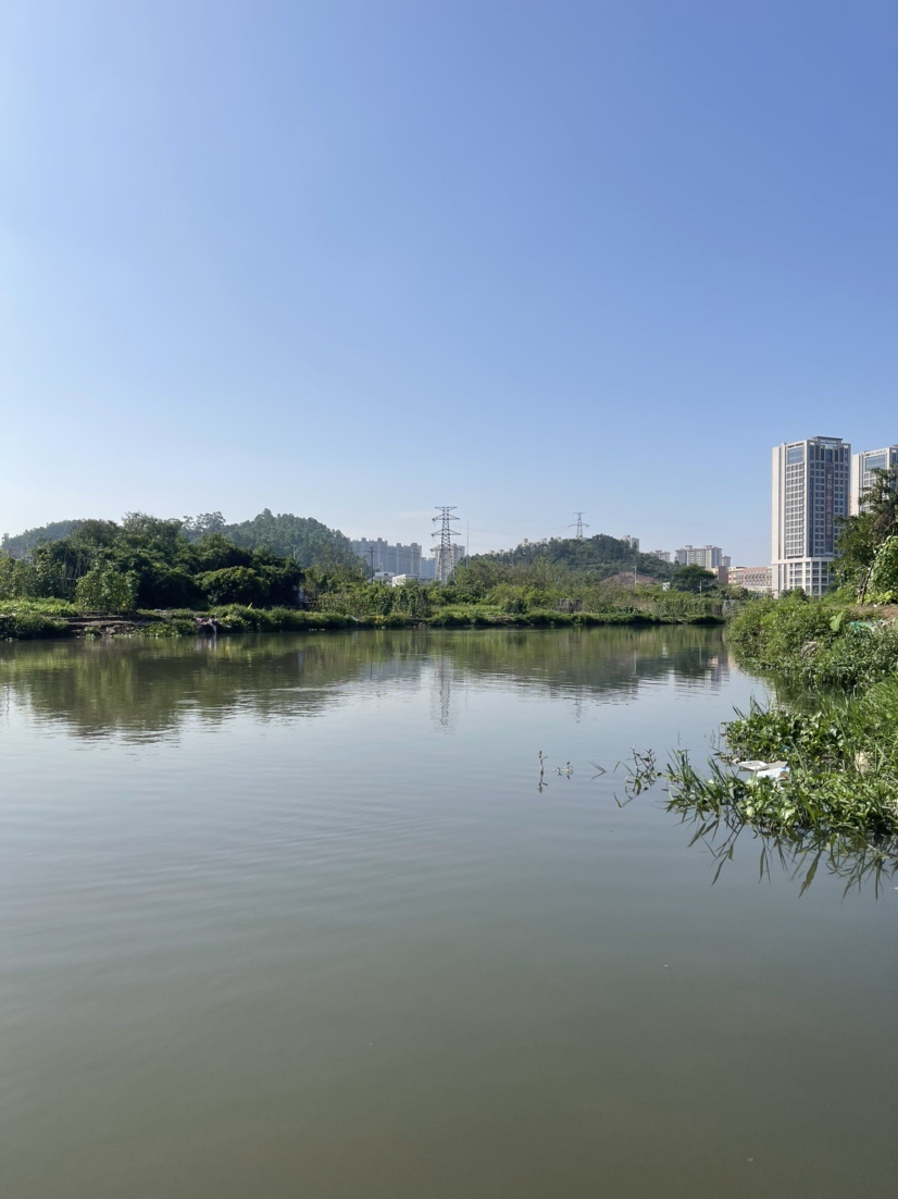 「518」小罗非垂竿自上，清道夫碳烤“美味”眼泪流