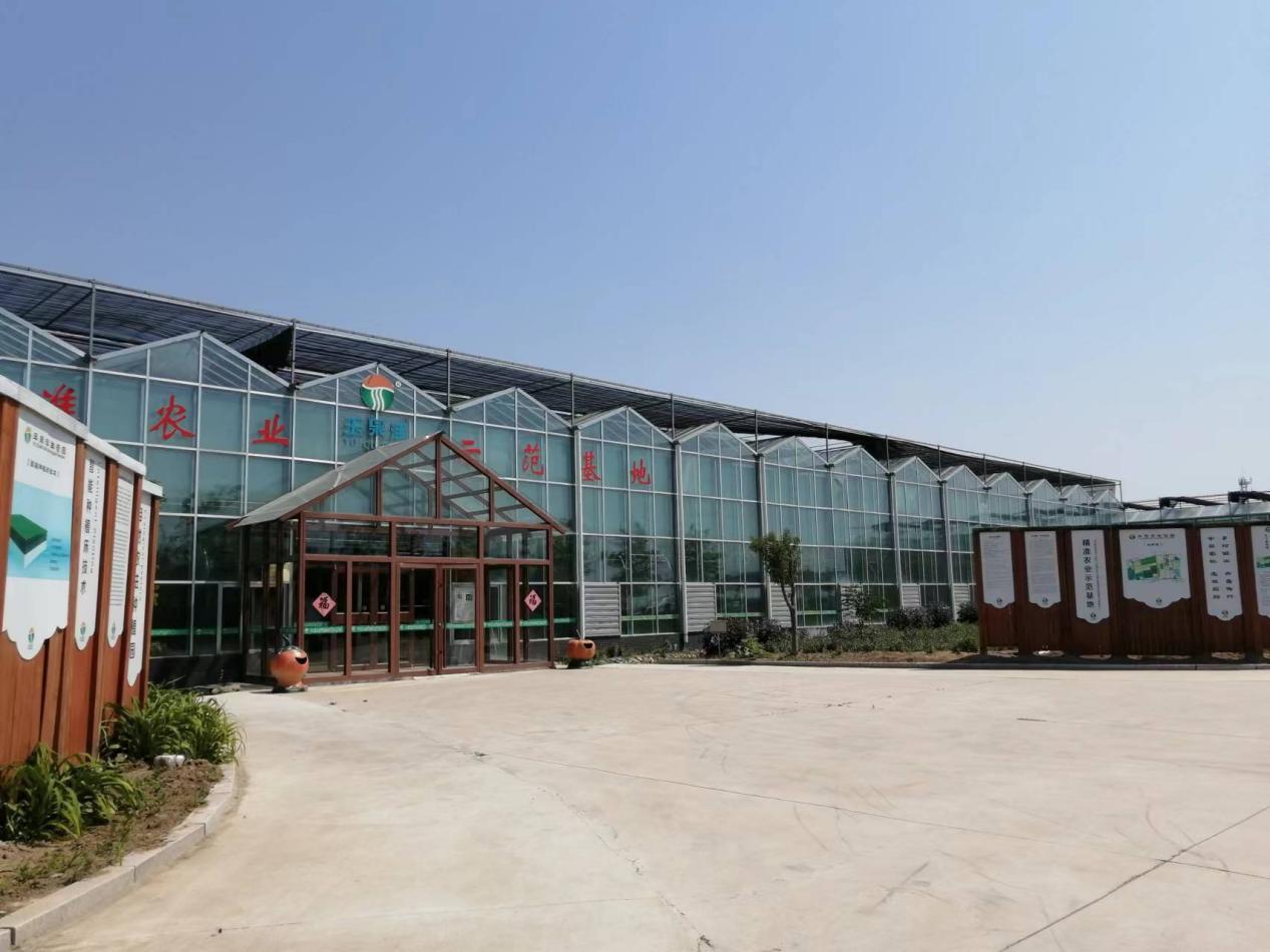 从空壳村逆袭为示范村,从贫困村到乡村蝶变