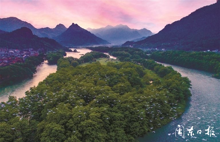 闽东之光｜郑承东：一条路的血色九贝（二）