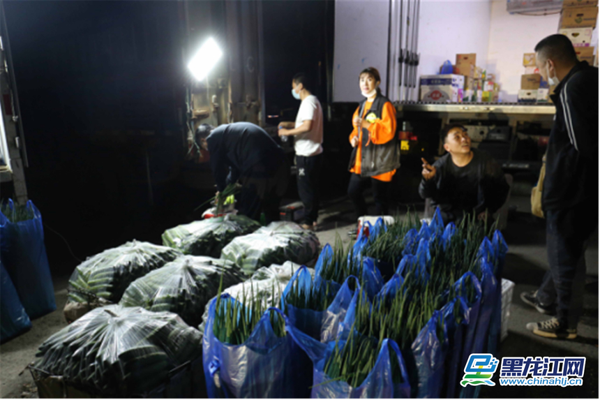 精品蔬菜批发市场图片,哈尔滨薛家蔬菜批发市场