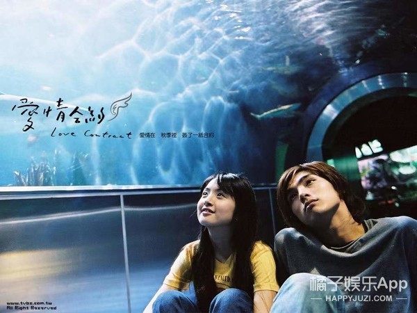 爱上查美乐贺军翔化身毒舌,爱上查美乐贺军翔弹琴