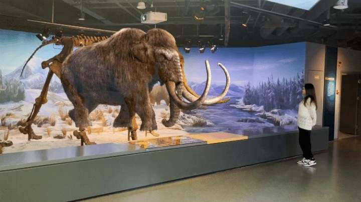 这个六一，银泰百货请来“小猪佩奇”，还把“自然博物馆”搬进商场