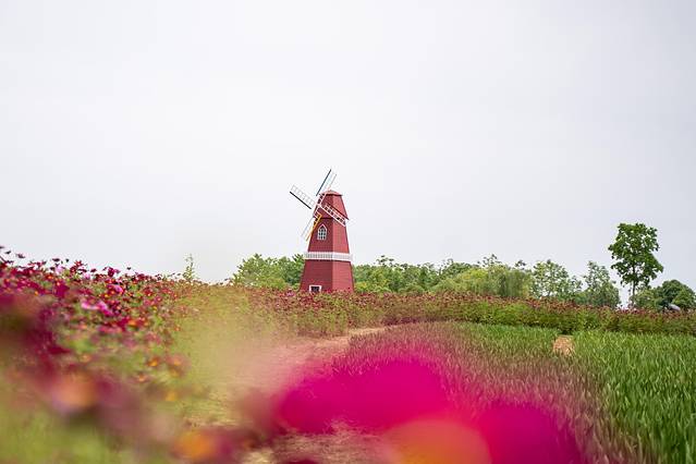 铜陵文化历史,安徽铜陵文化特色