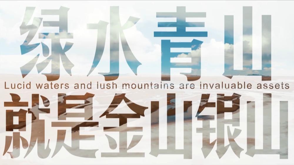 微视频怎么发布有收益,微视频爱情片