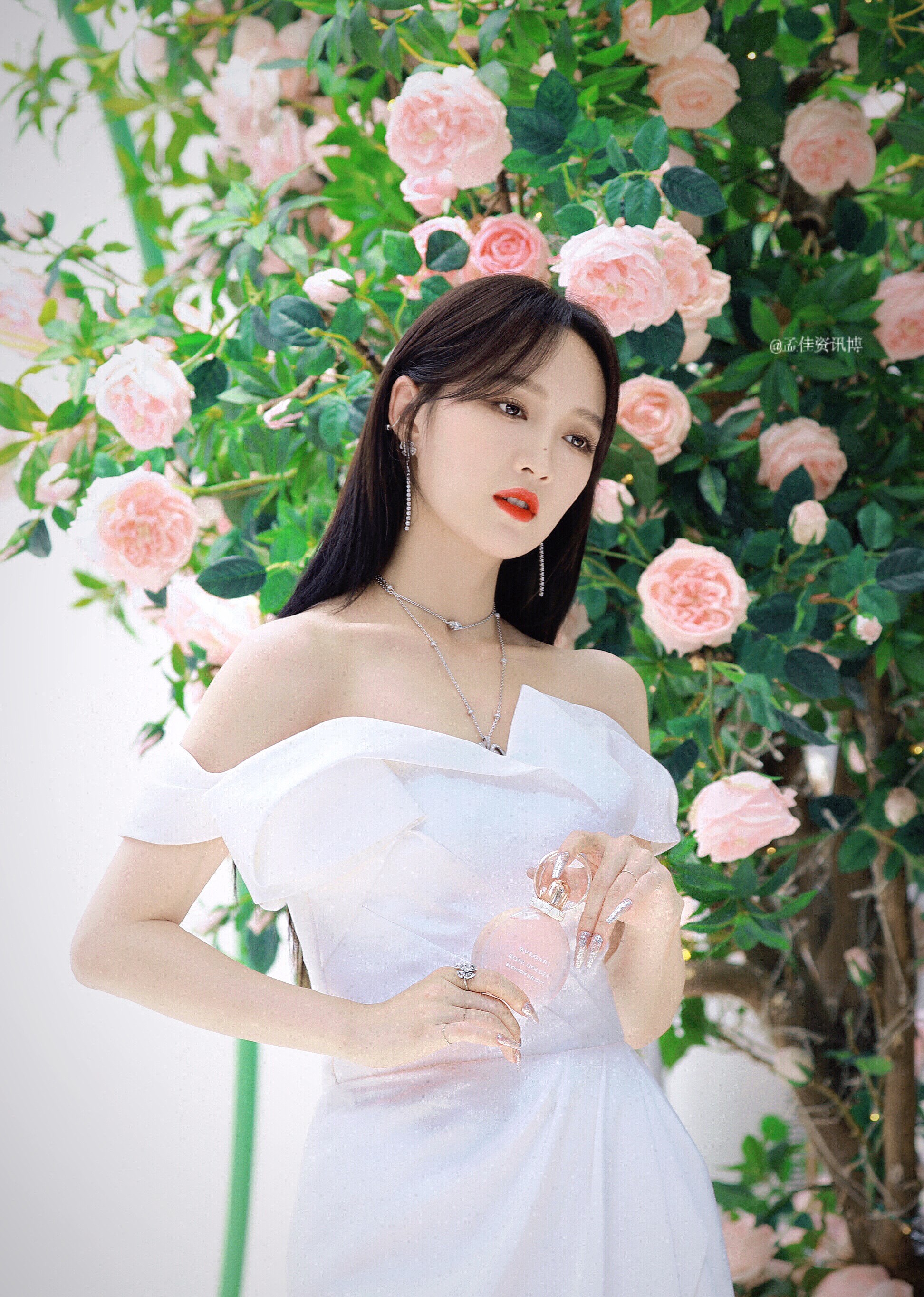 浪姐复活团孟佳,孟佳烟嗓唱哭全场视频