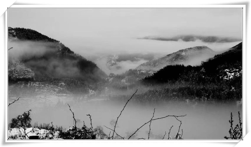 闽东之光丨郑承东:一条路的血色九贝(一)