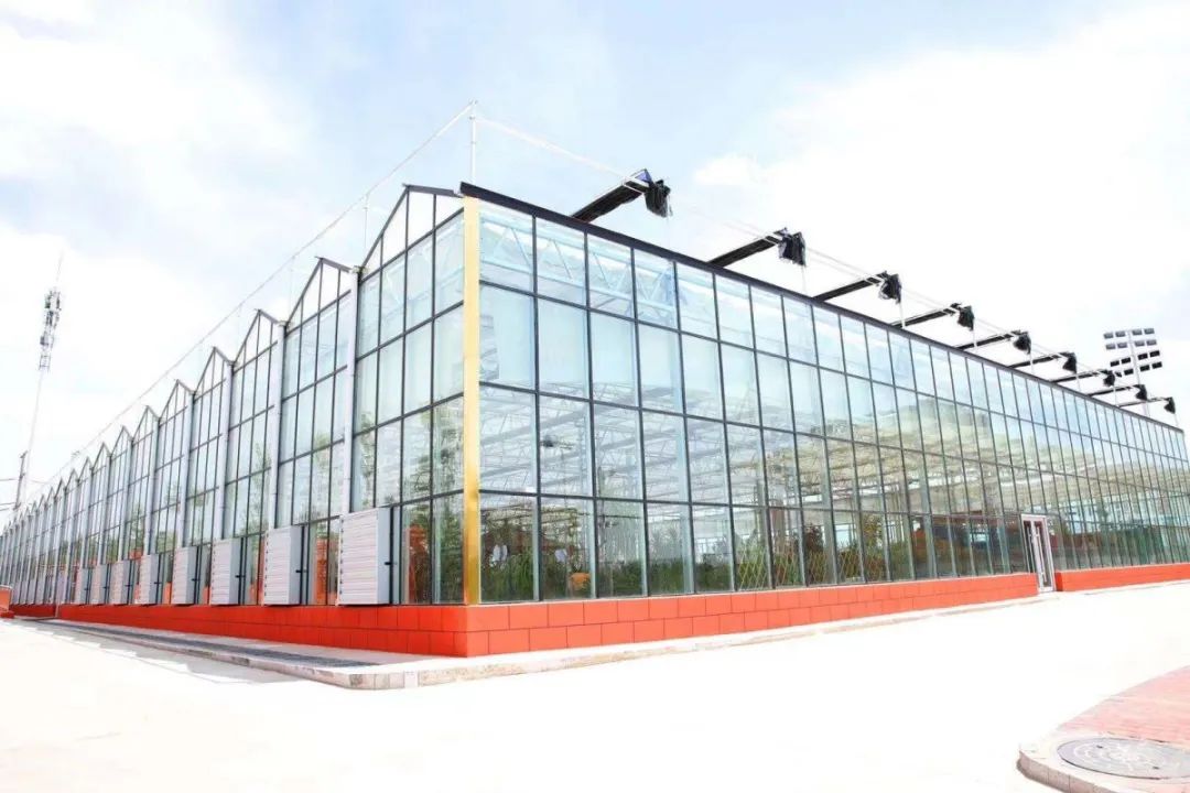 遇见三中邂逅美好