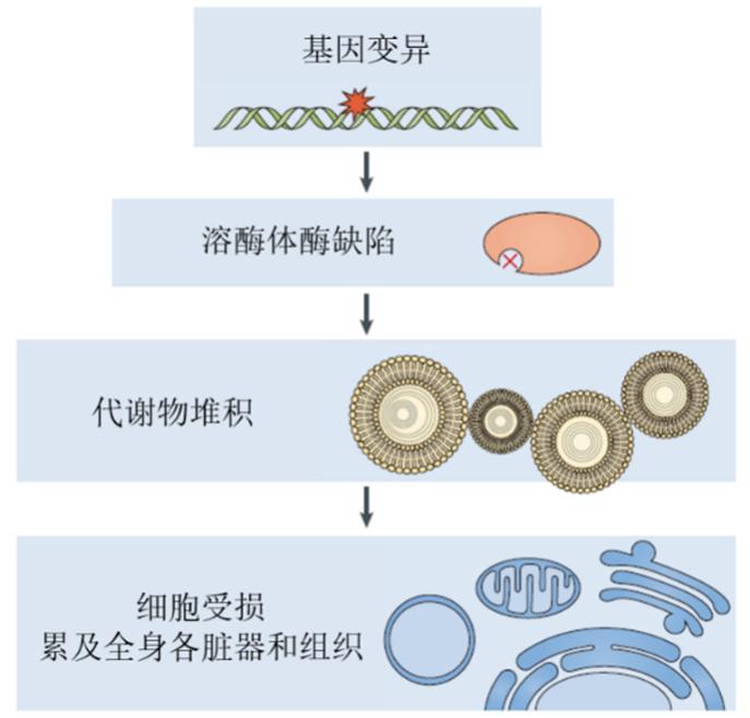江西省九江市妇幼保健院,江西四川省妇幼保健院