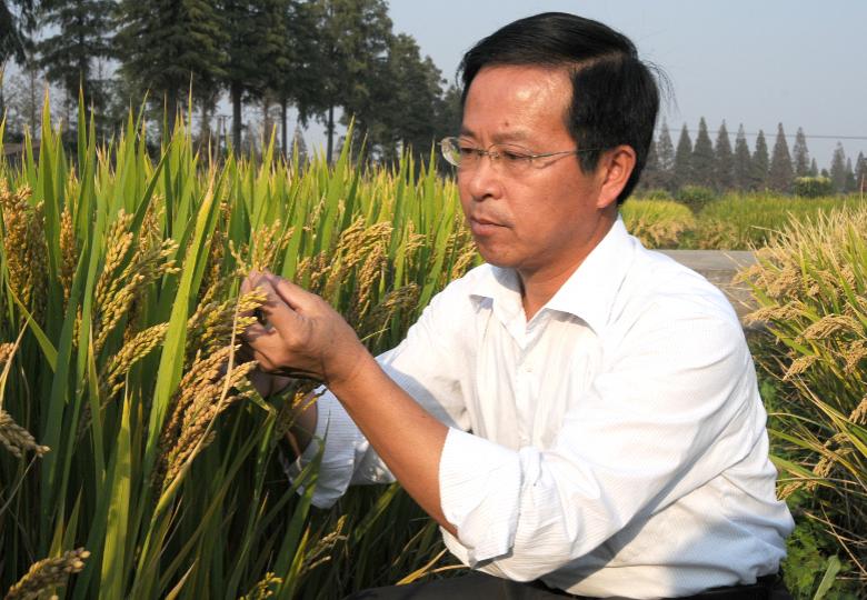 从吃饱到吃好再到吃出健康,从吃饱到吃好的东西