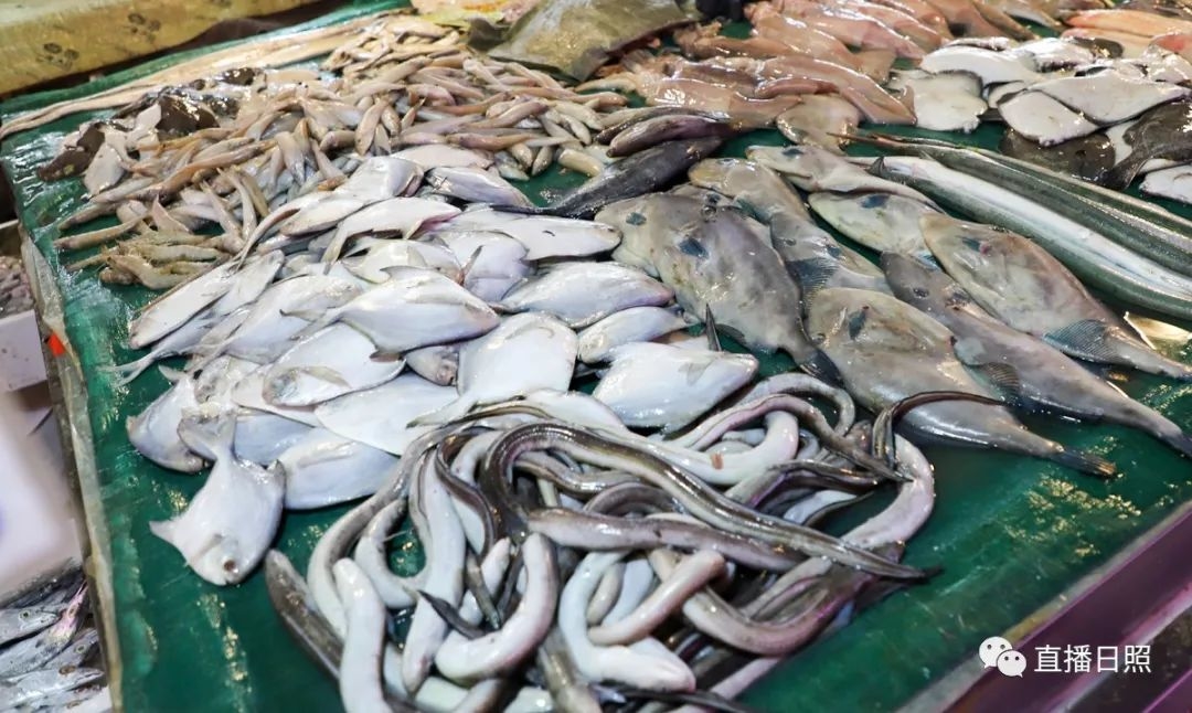日照现在海鲜价,日照2019海鲜价格表