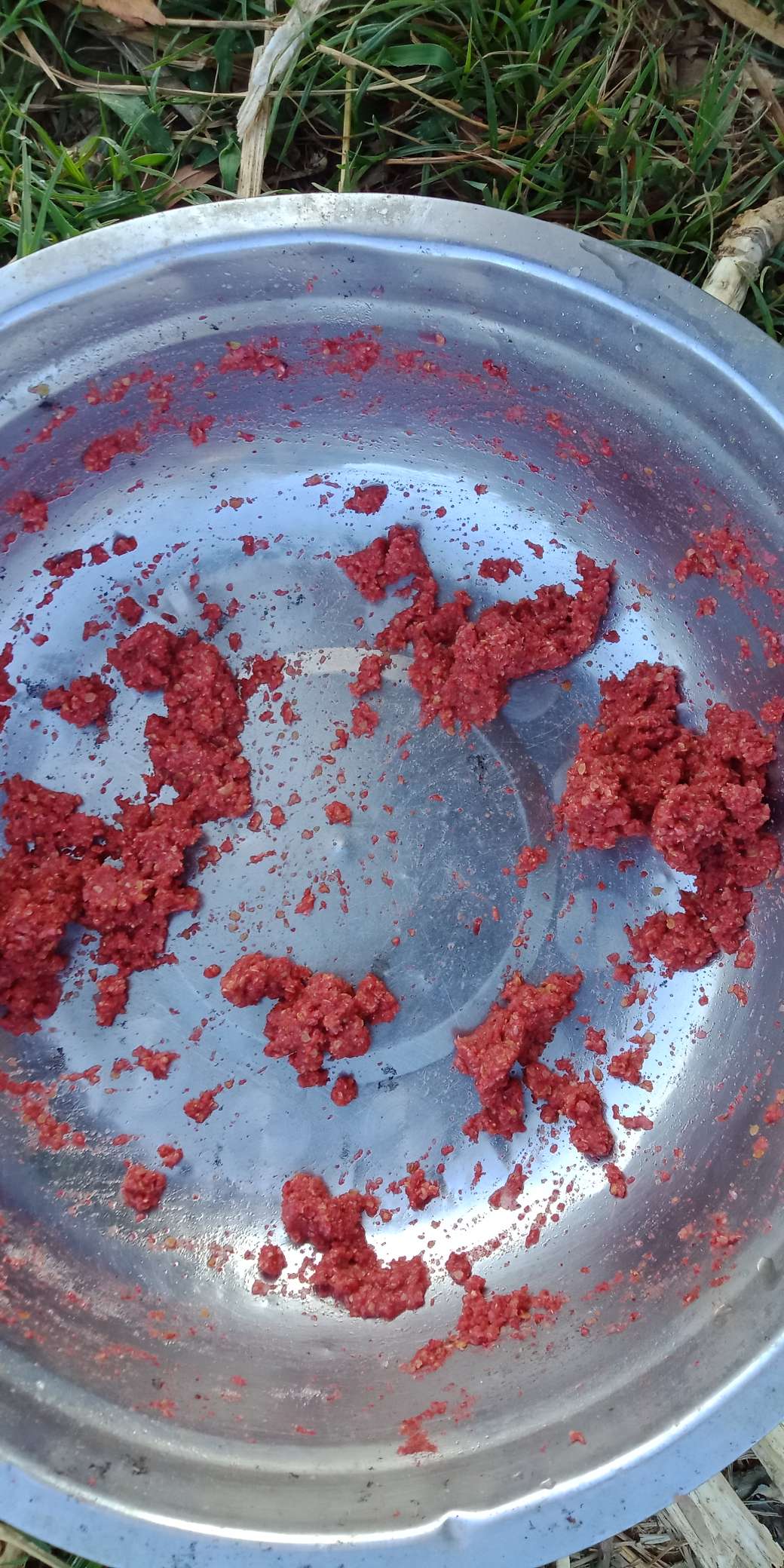 浑身亮甲如新衣，一生靓仔它美气