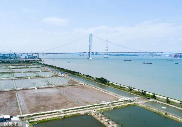 广州好吃的地方排行榜2020,广州最好吃的区