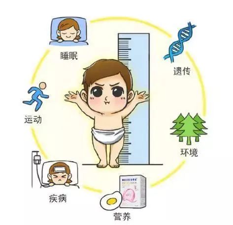 品牌摸高神器儿童跳高训练器,长高神器要碰多少次才长高